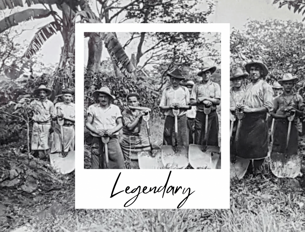 Legendary Coffee Legendary Coffee